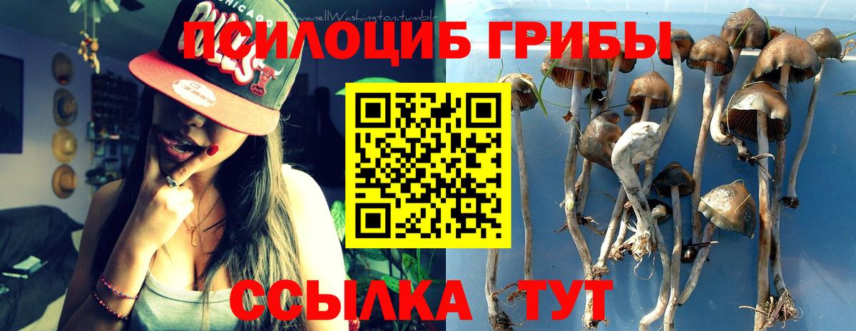 Галлюциногенные грибы MAGIC MUSHROOMS  Вход с VPN  Аргун 