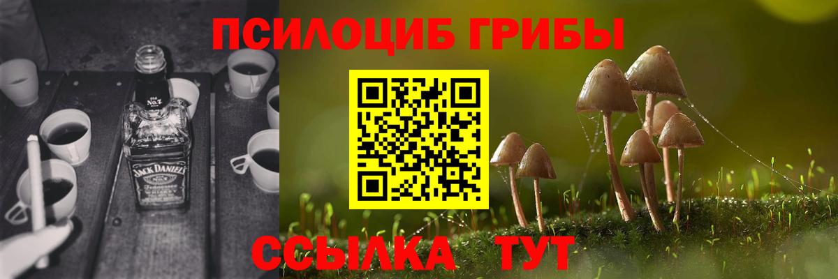 Галлюциногенные грибы Magic Shrooms Аргун